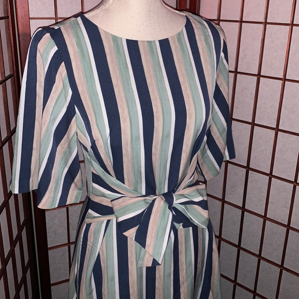 Ann Taylor Striped Dress